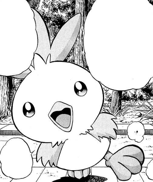 File:May Torchic AP.png