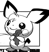 Pichu (Pibu)