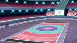 pokemon gym battle field