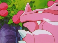 Pink Rhyhorn