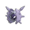 Cloyster #116