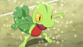 Treecko's right arm error