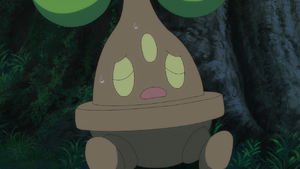 Bonsly anime.png