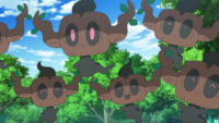 Ash's Phantump