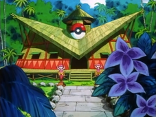 Valencia Island Pokémon Center.png