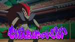 Gladion Zoroark Never-Ending Nightmare text.png