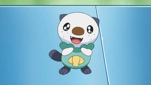 Ashs Oshawott Bulbapedia The Community Driven Pokémon Encyclopedia 