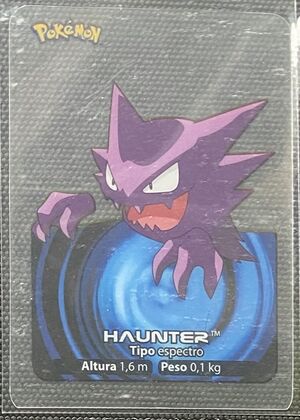 Pokémon Rainbow Lamincards Series 1 - 93.jpg