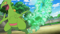 Sawyer Sceptile Leaf Storm.png