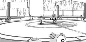 Levincia Gym battlefield Adventures.png