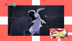 PokéTV XY123.png