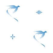 "It is said that Articuno freezes water that is contained in winter air and makes it snow. That image is depicted onto this pattern."