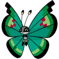 Garden Vivillon