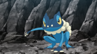 Ash's Frogadier