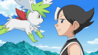 Fly Shaymin! Far into the Sky!!