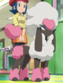 A Heart Trim Furfrou in the anime