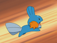 Nicholai's Mudkip