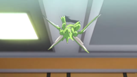 Red's Scyther