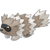 Zigzagoon