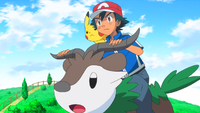 Ash's Skiddo