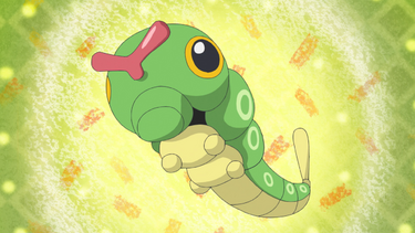 Caterpie (Pokémon) - Bulbapedia, the community-driven Pokémon encyclopedia