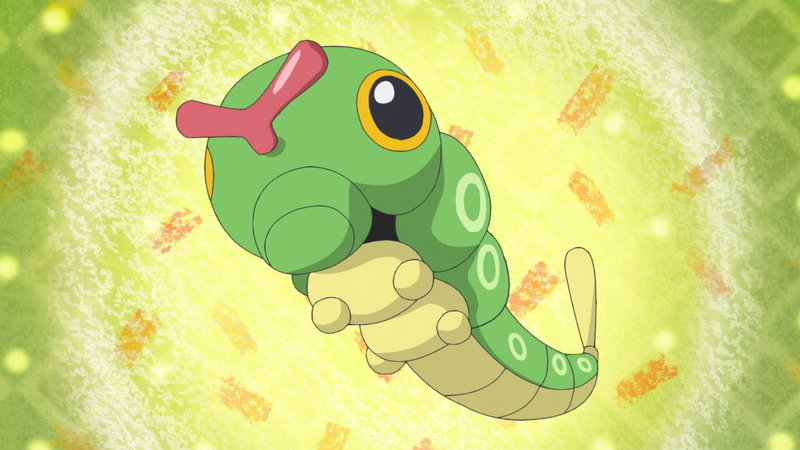 File:Caterpie anime.png