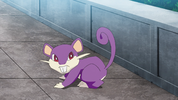 Goh Rattata.png