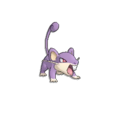 Rattata #015