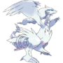 643Reshiram.png