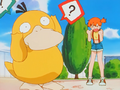 Misty yelling at Psyduck.png