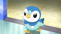 Piplup anime.png