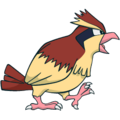 016Pidgey Channel.png