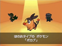 Beta Tepig sprite.png