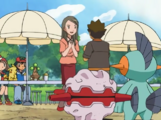 Brock's Pokémon from Pokémon the Series: Ruby and Sapphire during the Battle Frontier arc