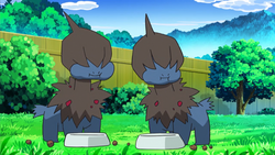 Deino (Pokémon) - Bulbapedia, the community-driven Pokémon