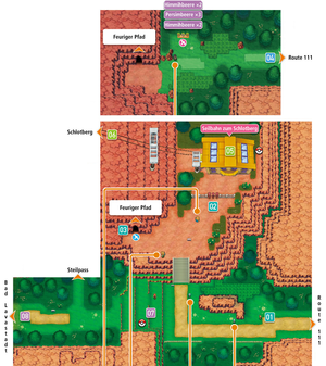 Appendix Omega Ruby and Alpha Sapphire walkthrough Section 7