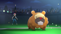 Trainer's Bidoof