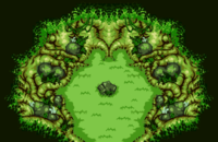 Transform Forest.png