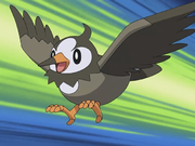 Ash Starly.png
