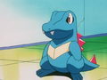 Elm Totodile.png