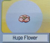 Huge Flower (Pokemon Ranger).jpg