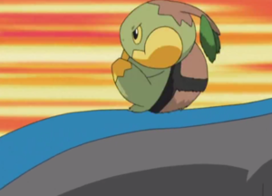 Ash Turtwig Spin.png