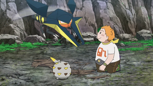 Sophocles and his Pokémon.png