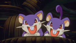 Big Town Rattata.png