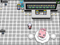 The Mew Room