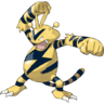 0125Electabuzz.png