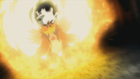 Entei Flare Blitz.png