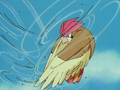 Ash Pidgeotto Gust Counterattack.png