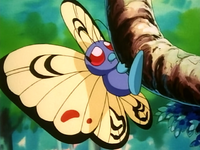 Orange Archipelago Butterfree