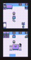 Pallet Town Red's House Y.png